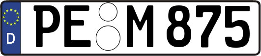 PE-M875