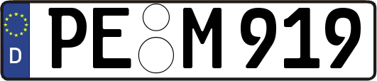 PE-M919