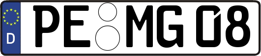 PE-MG08