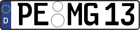 PE-MG13