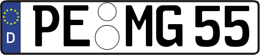 PE-MG55