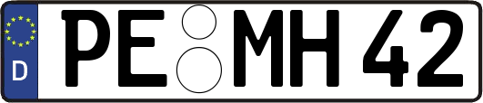 PE-MH42