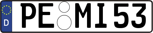 PE-MI53