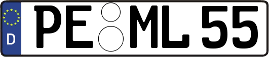 PE-ML55