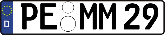 PE-MM29