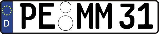 PE-MM31