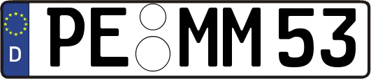 PE-MM53