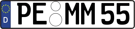 PE-MM55