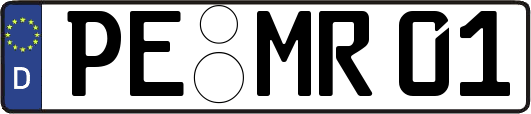 PE-MR01