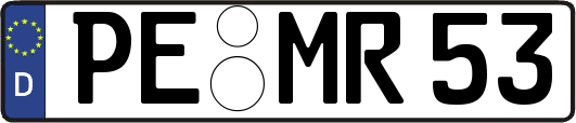PE-MR53