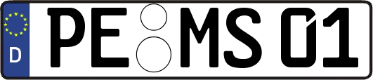 PE-MS01