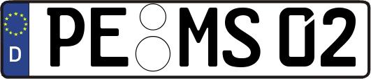 PE-MS02