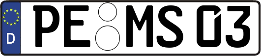 PE-MS03