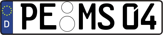 PE-MS04