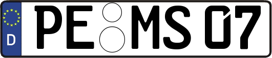 PE-MS07