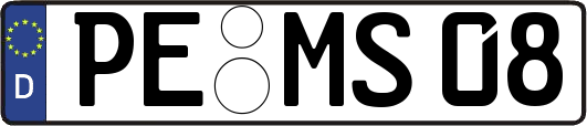 PE-MS08