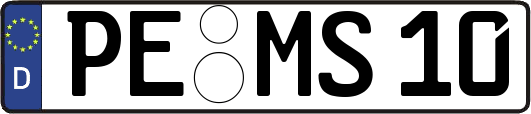 PE-MS10