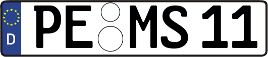 PE-MS11