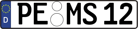 PE-MS12