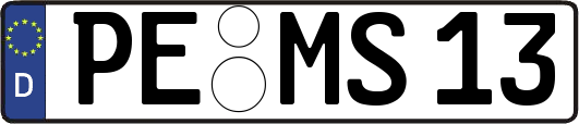 PE-MS13