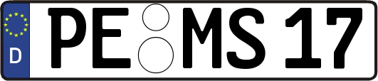 PE-MS17