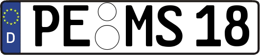 PE-MS18