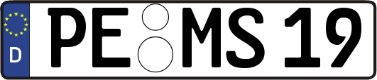 PE-MS19