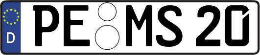 PE-MS20