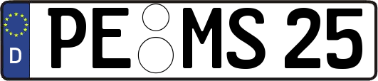 PE-MS25