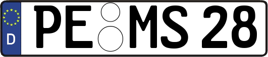 PE-MS28