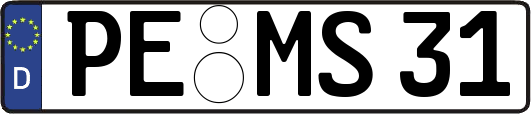 PE-MS31