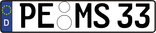 PE-MS33