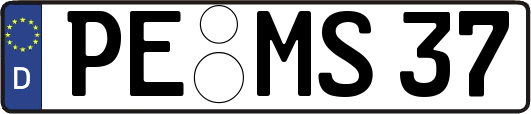 PE-MS37