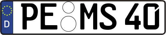 PE-MS40