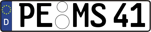 PE-MS41