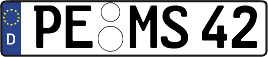 PE-MS42