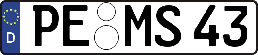 PE-MS43