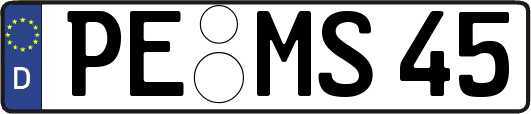 PE-MS45