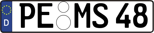 PE-MS48