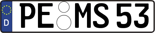 PE-MS53