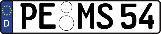 PE-MS54