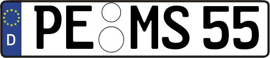 PE-MS55