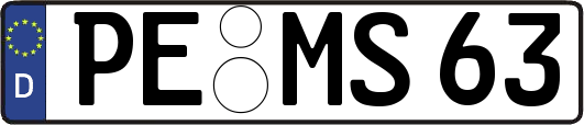 PE-MS63