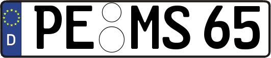 PE-MS65