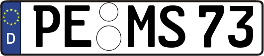 PE-MS73