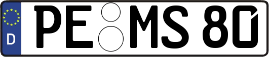 PE-MS80