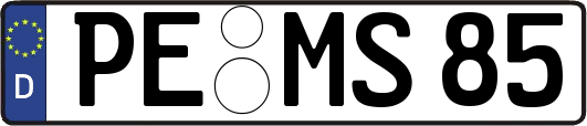 PE-MS85