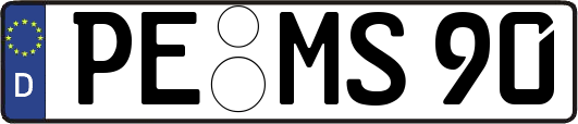 PE-MS90