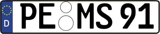 PE-MS91