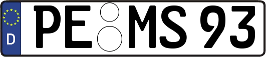 PE-MS93